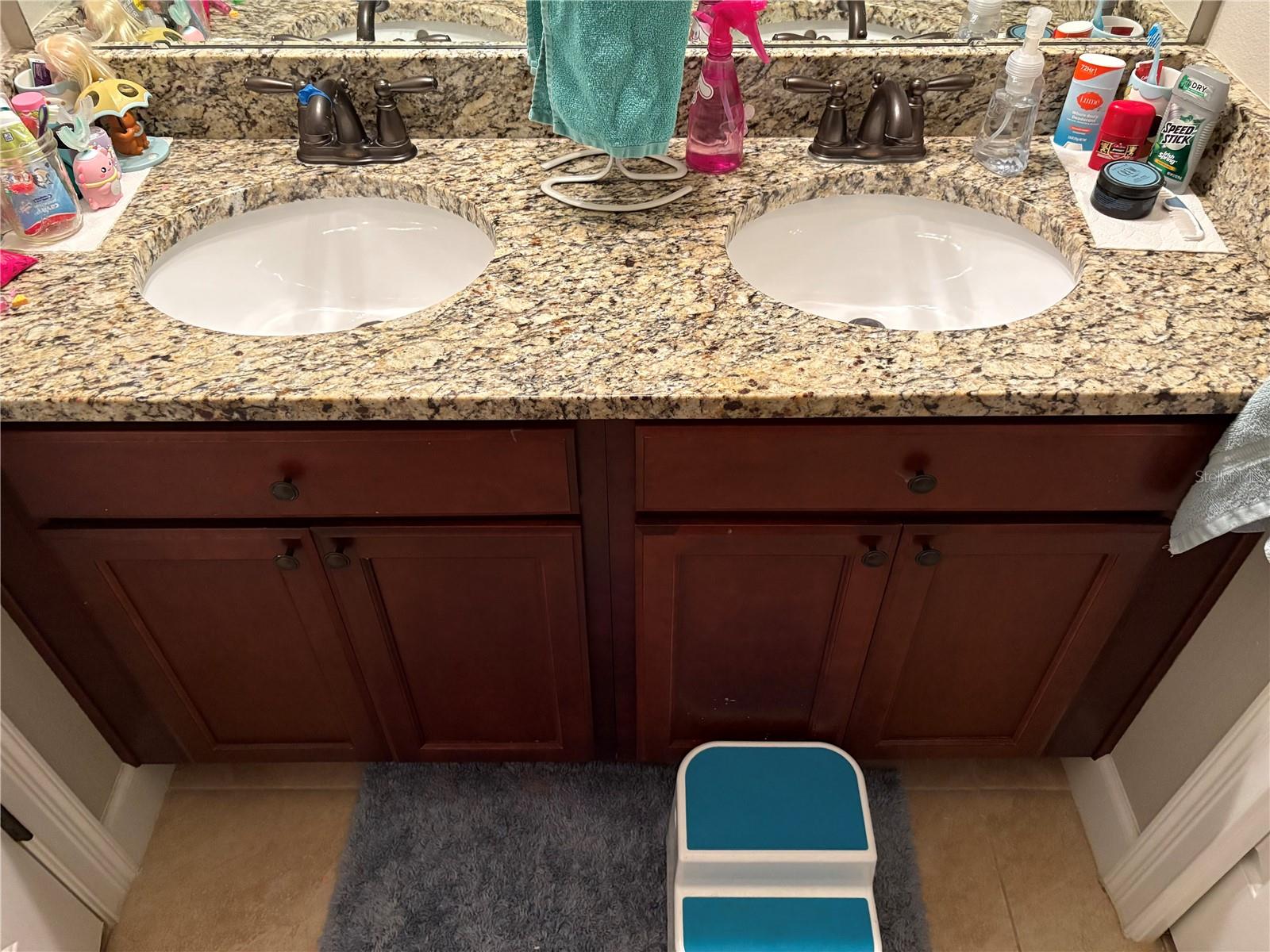 709 CALABRIA WAY, HOWEY IN THE HILLS, FL — photo 27