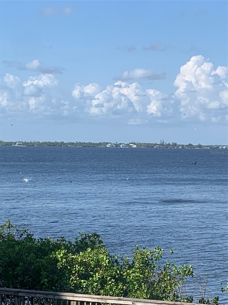 200 HARBOR WALK DR #321, PUNTA GORDA, FL — photo 21