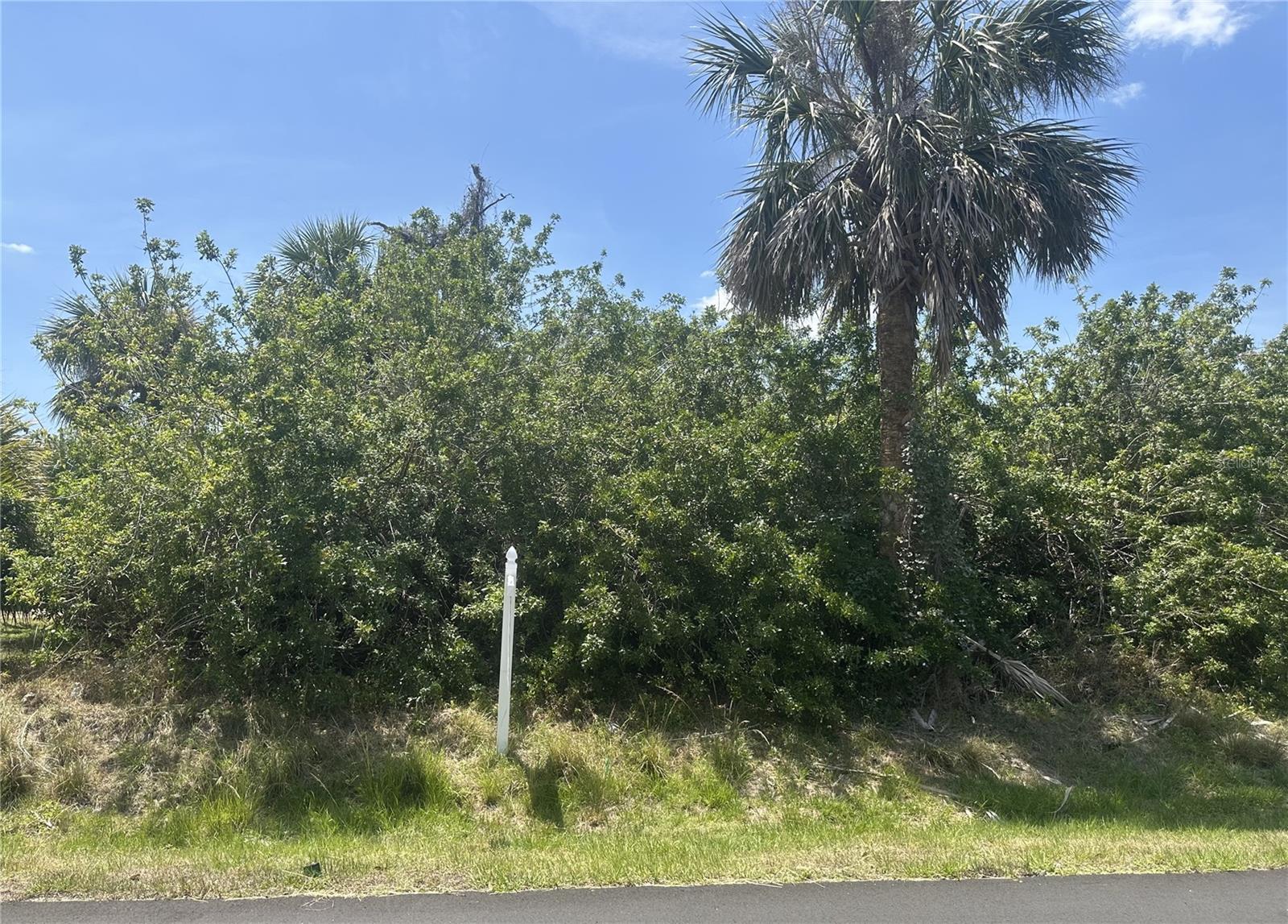 4225 SWENSSON ST, PORT CHARLOTTE, FL — photo 3