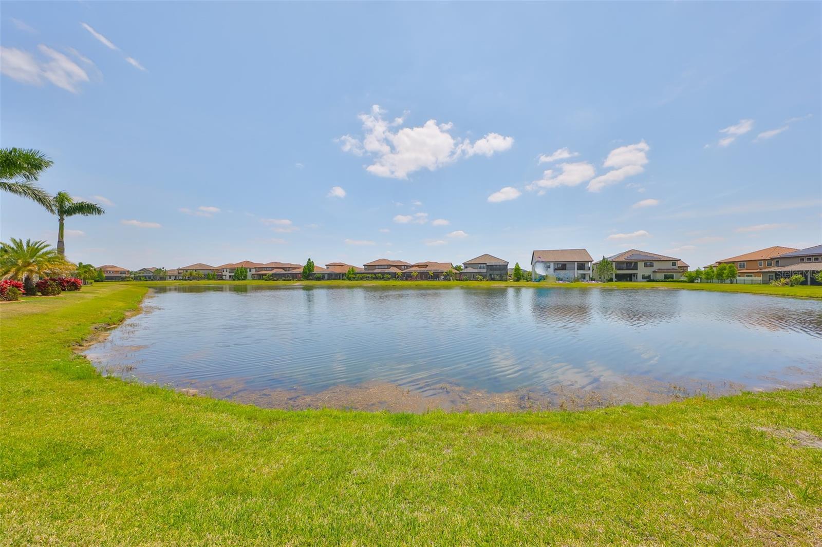 11909 CLIMBING FERN AVE, RIVERVIEW, FL — photo 63