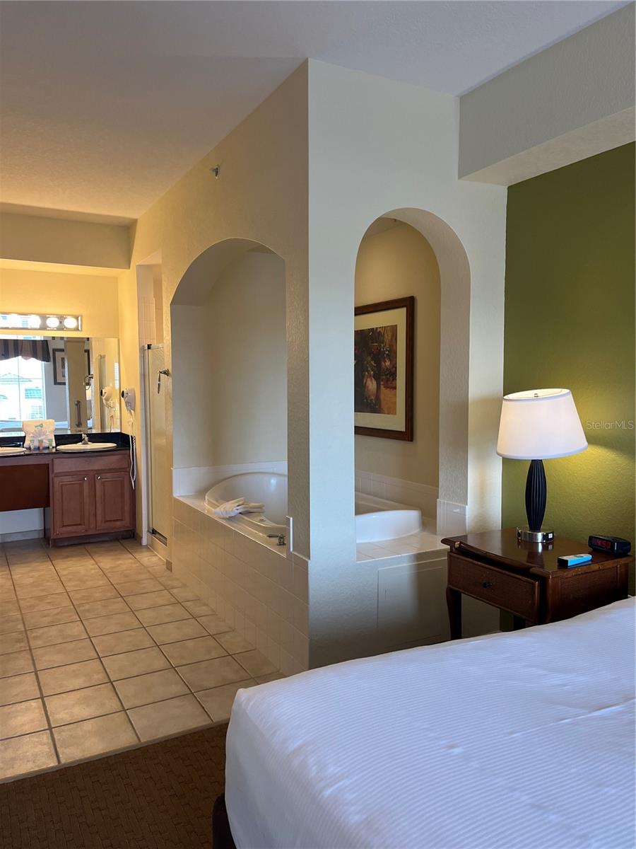 8101 RESORT VILLAGE DR #3909, ORLANDO, FL — photo 14