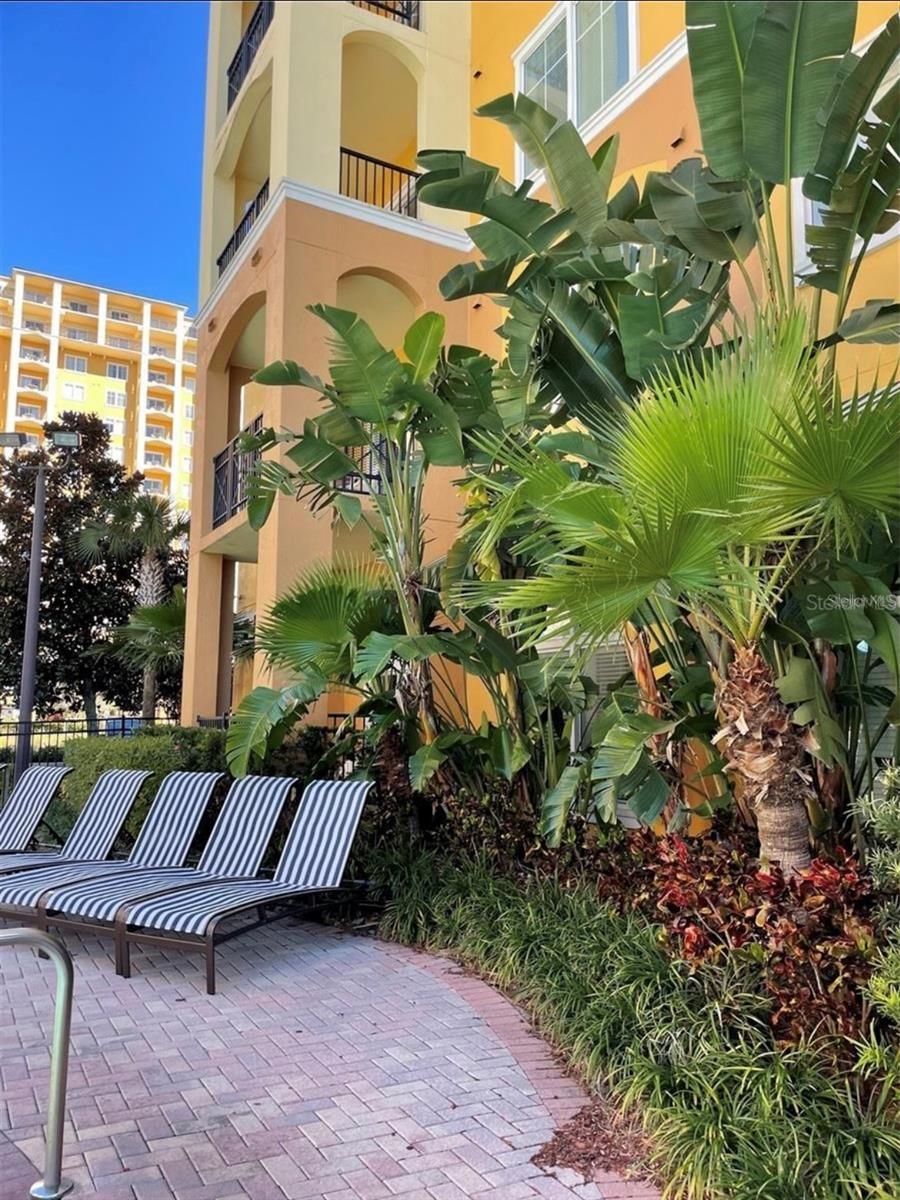 8101 RESORT VILLAGE DR #3909, ORLANDO, FL — photo 28
