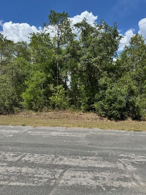 2235 W SUMMER PL, DUNNELLON, FL