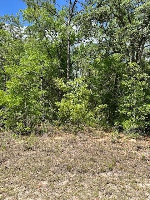 2235 W SUMMER PL, DUNNELLON, FL — photo 4