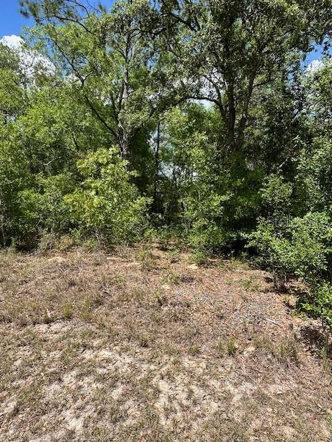 2235 W SUMMER PL, DUNNELLON, FL — photo 5