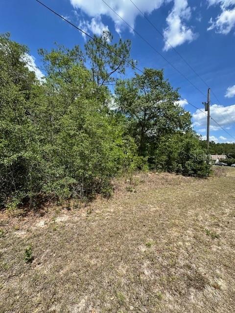 2235 W SUMMER PL, DUNNELLON, FL — photo 6