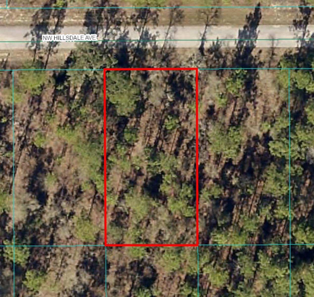Lot 15 NW HILLSDALE AVE, DUNNELLON, FL