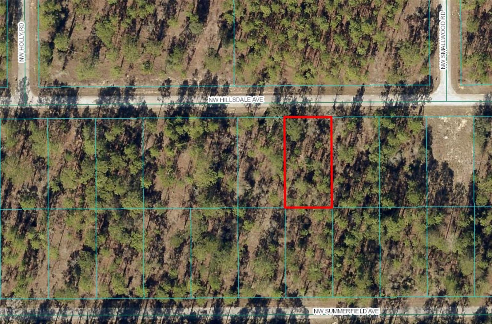 Lot 15 NW HILLSDALE AVE, DUNNELLON, FL — photo 2
