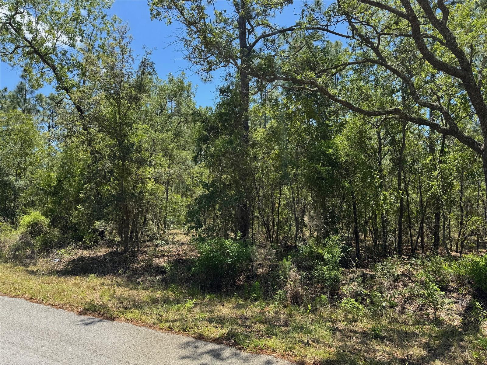 Lot 15 NW HILLSDALE AVE, DUNNELLON, FL — photo 4