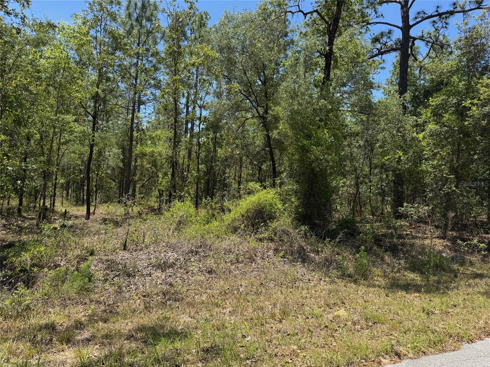 Lot 15 NW HILLSDALE AVE, DUNNELLON, FL — photo 5