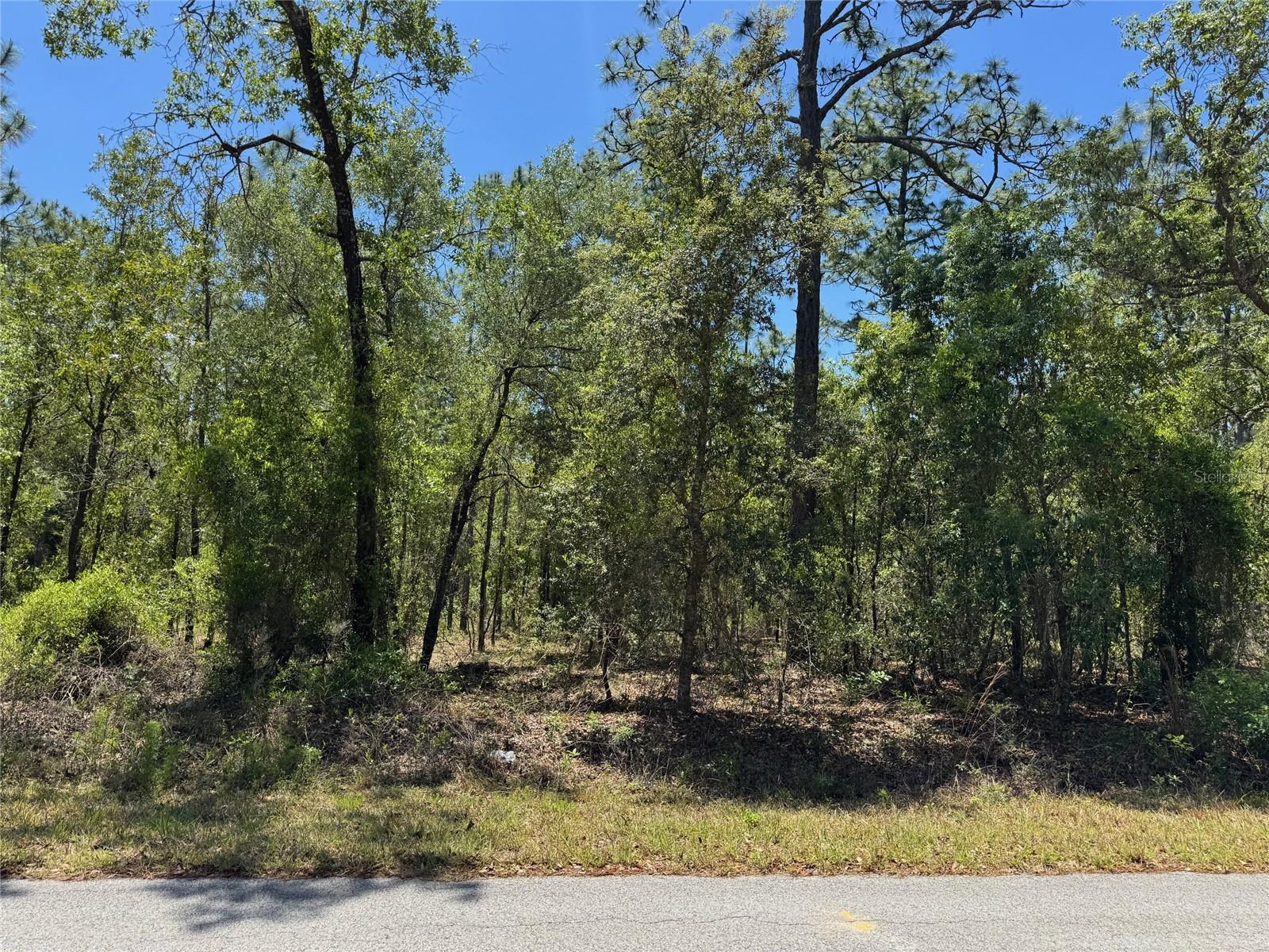 Lot 15 NW HILLSDALE AVE, DUNNELLON, FL — photo 6
