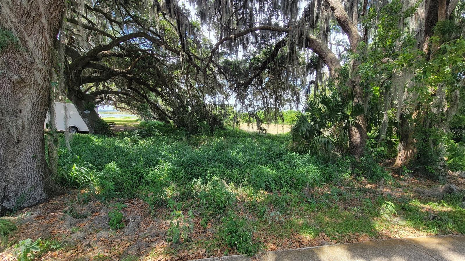 NEPTUNE RD, KISSIMMEE, FL — photo 4