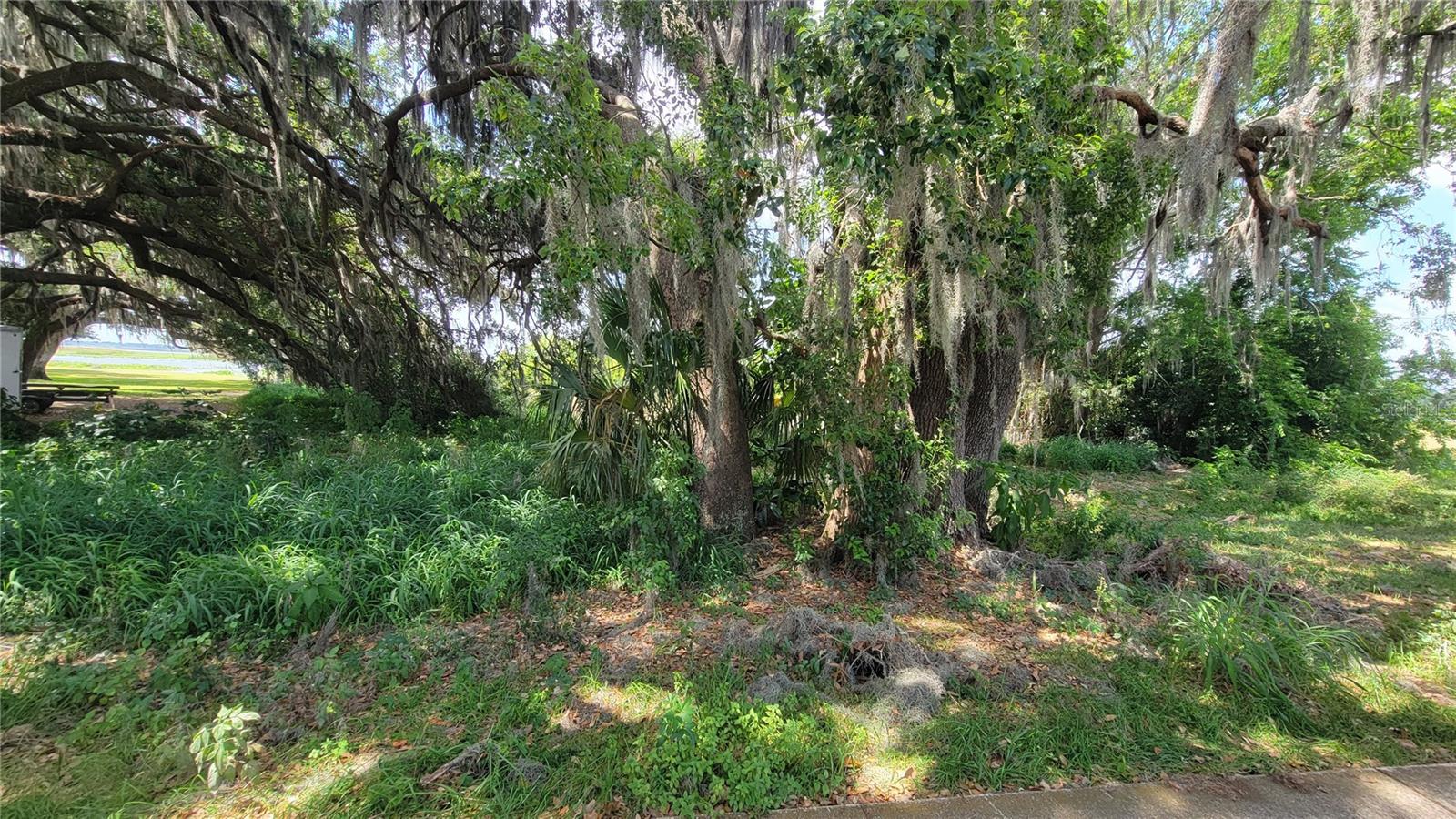NEPTUNE RD, KISSIMMEE, FL — photo 6