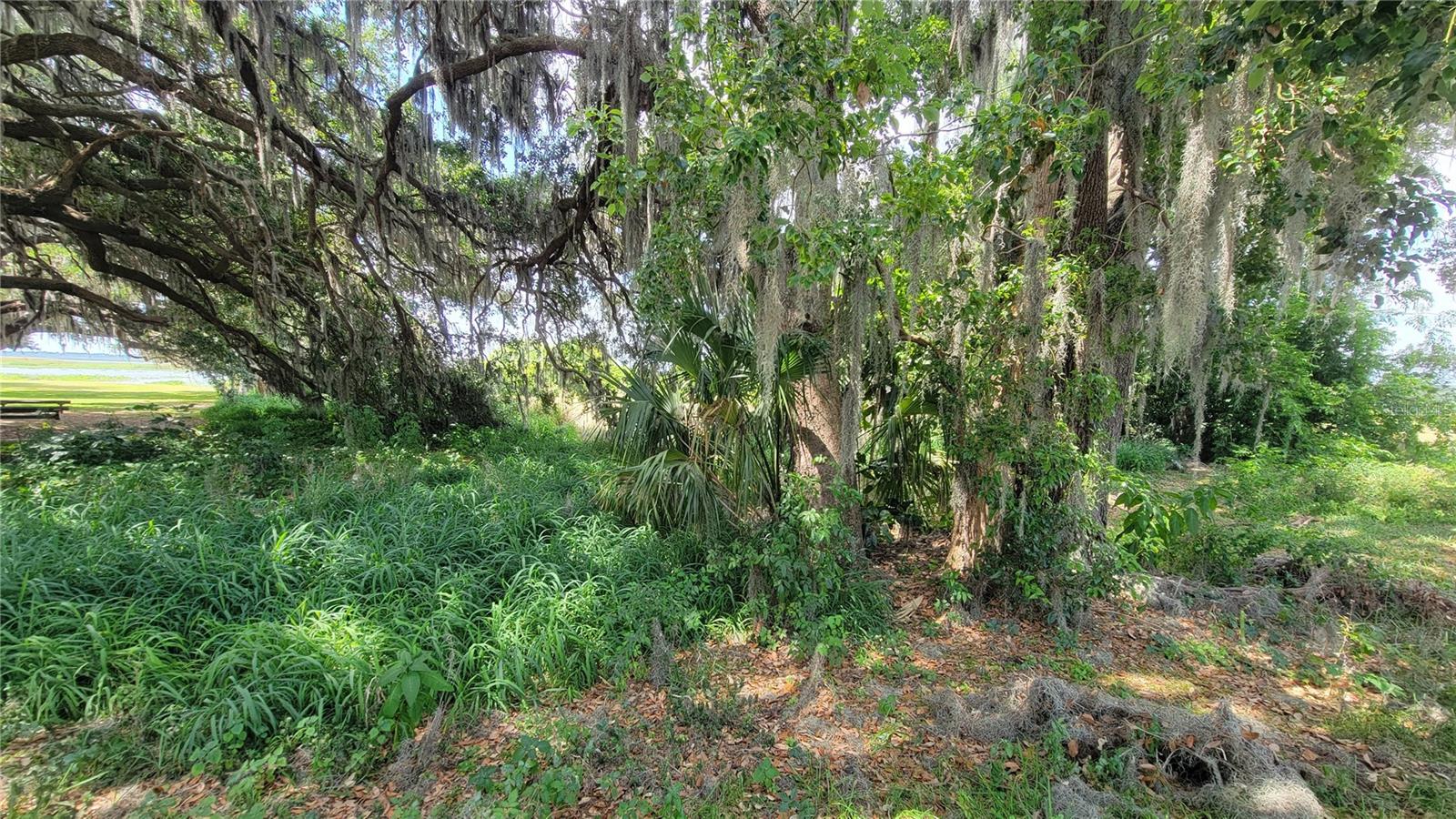 NEPTUNE RD, KISSIMMEE, FL — photo 7