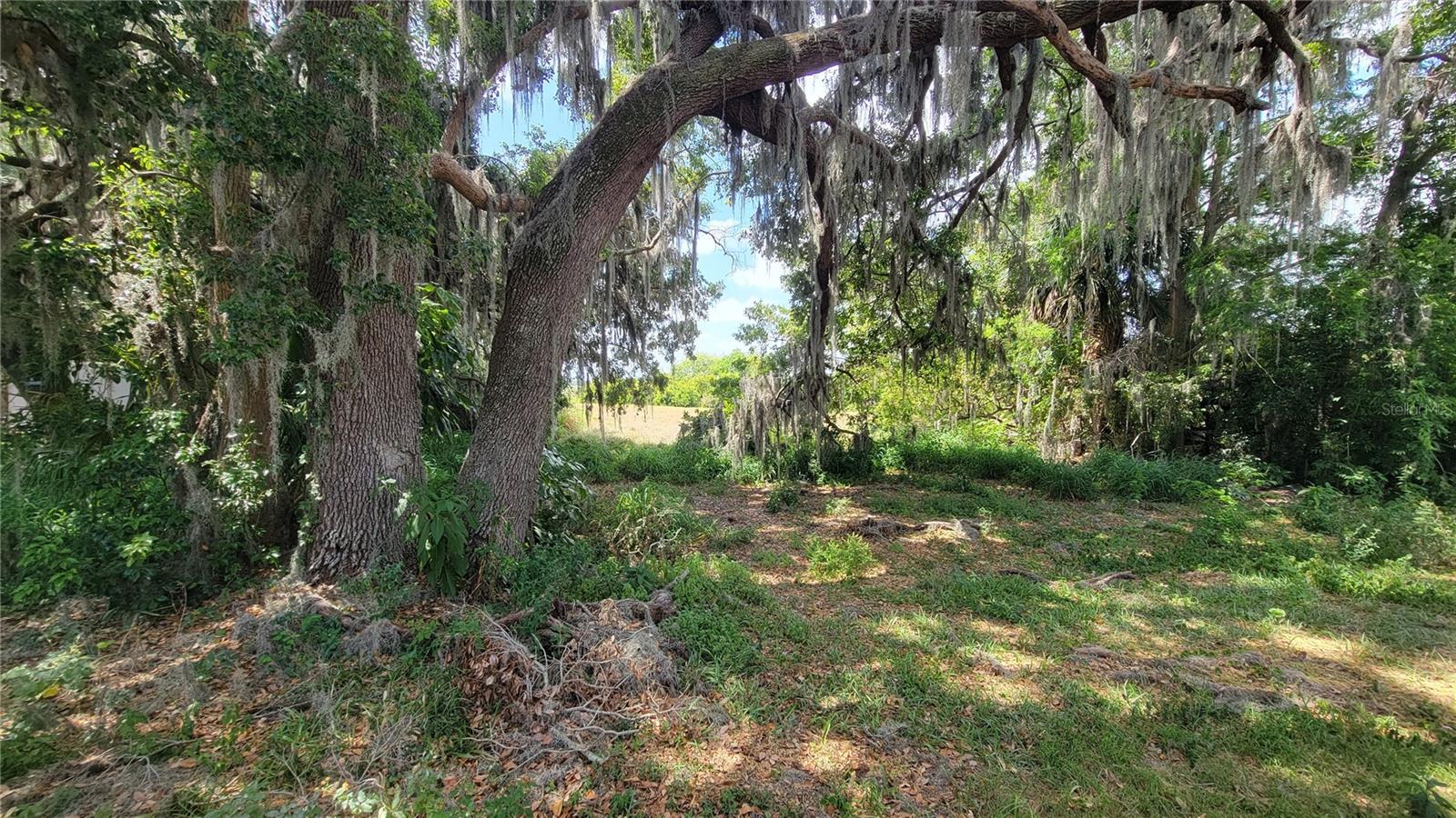 NEPTUNE RD, KISSIMMEE, FL — photo 8