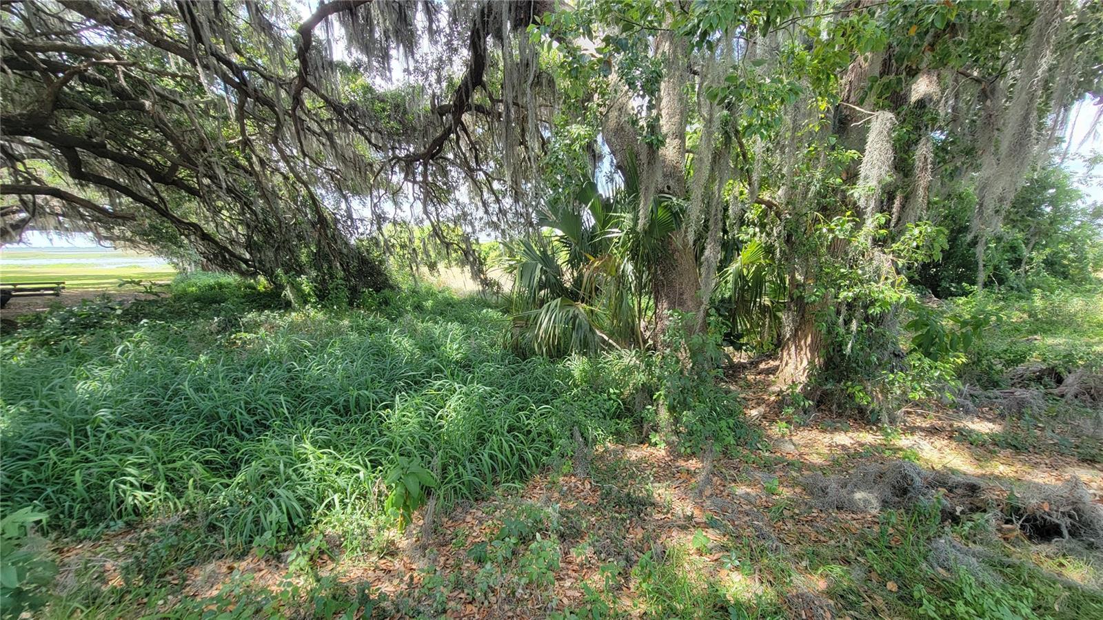 NEPTUNE RD, KISSIMMEE, FL — photo 10