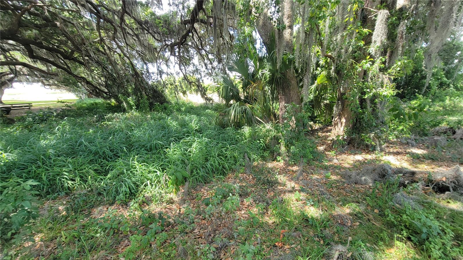 NEPTUNE RD, KISSIMMEE, FL — photo 12