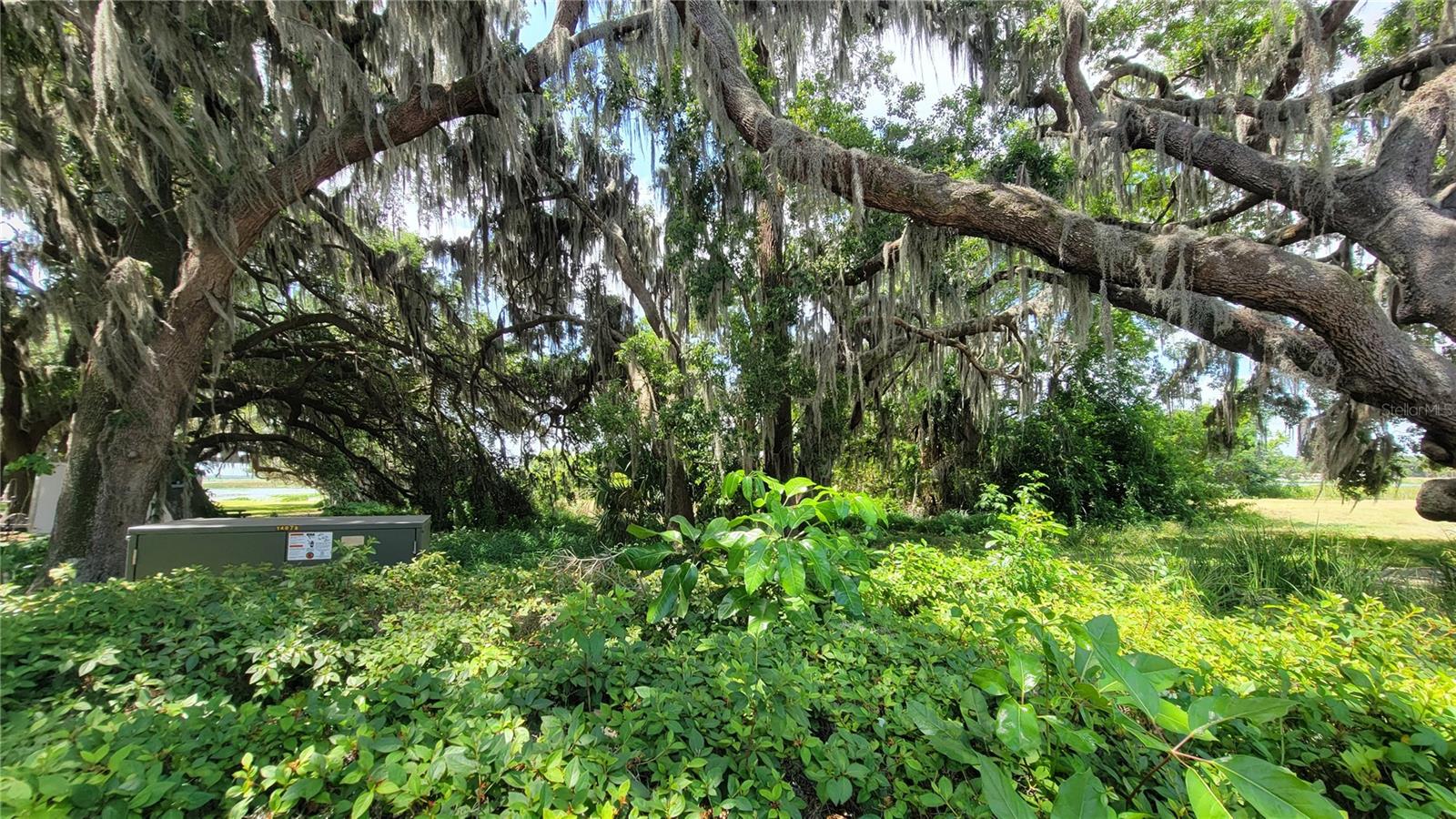 NEPTUNE RD, KISSIMMEE, FL — photo 13