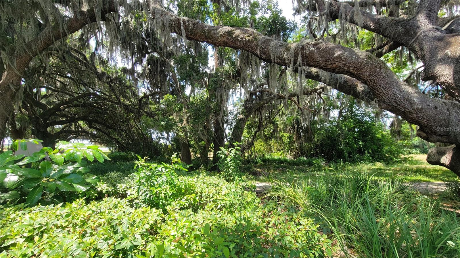 NEPTUNE RD, KISSIMMEE, FL — photo 14