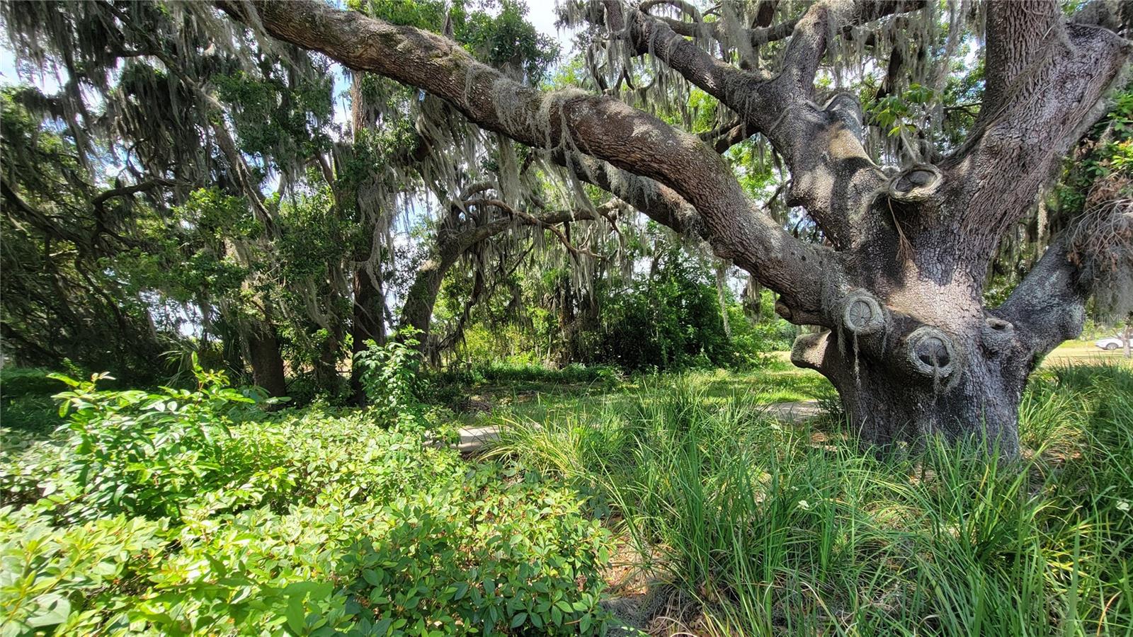 NEPTUNE RD, KISSIMMEE, FL — photo 15
