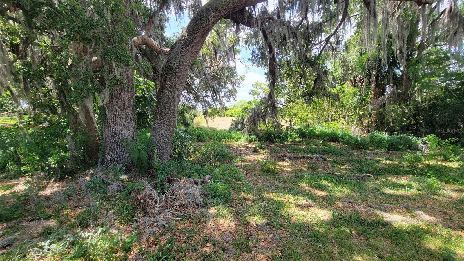 NEPTUNE RD, KISSIMMEE, FL — photo 16