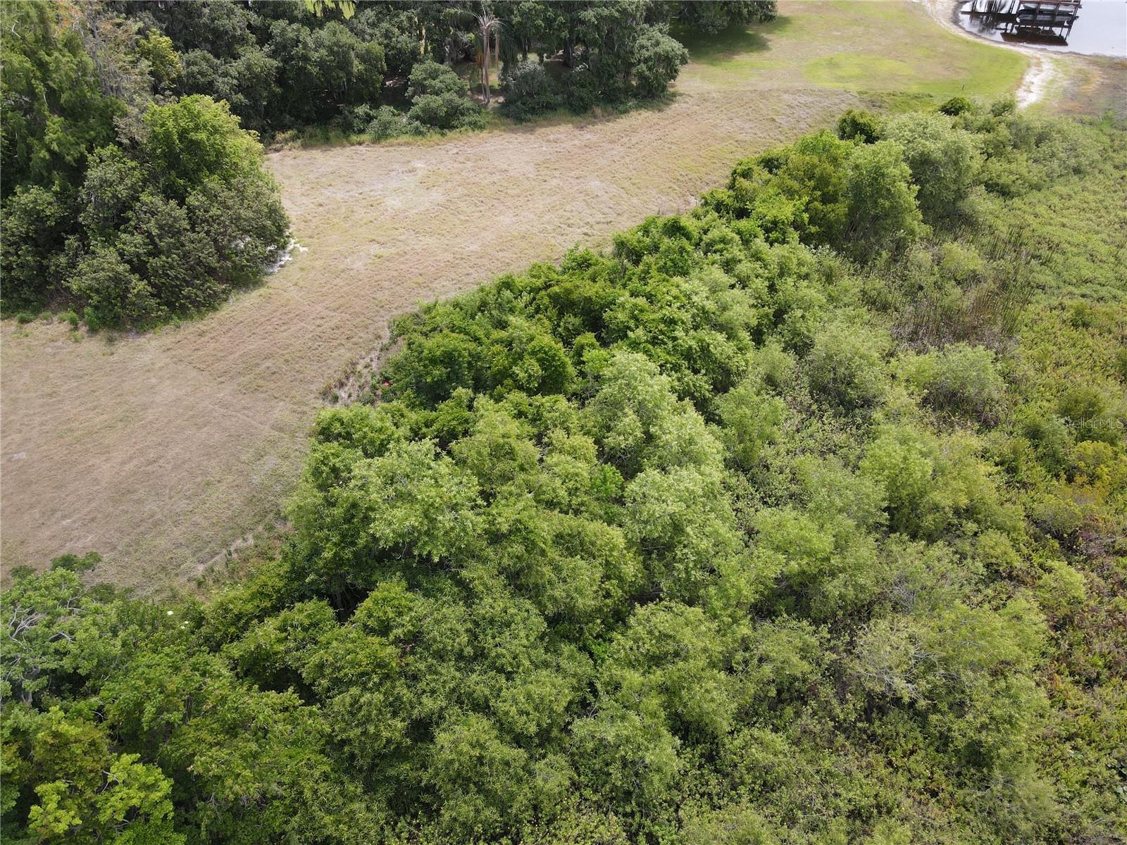 NEPTUNE RD, KISSIMMEE, FL — photo 19