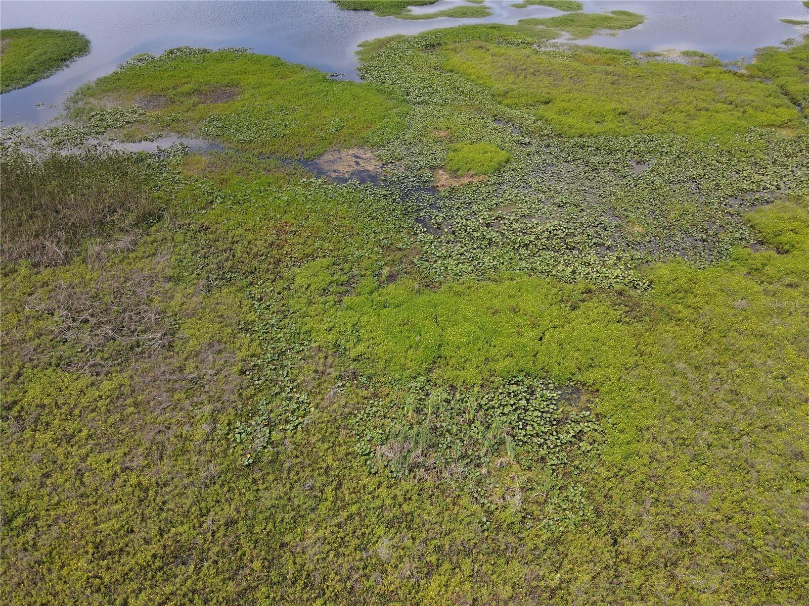 NEPTUNE RD, KISSIMMEE, FL — photo 22