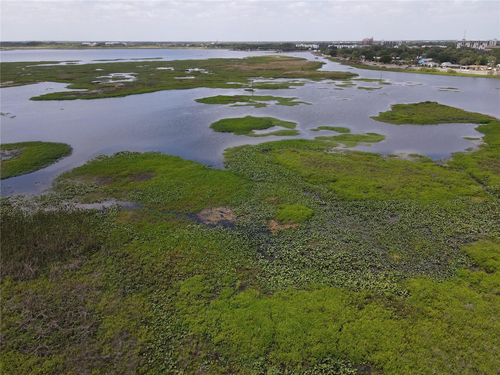 NEPTUNE RD, KISSIMMEE, FL — photo 23