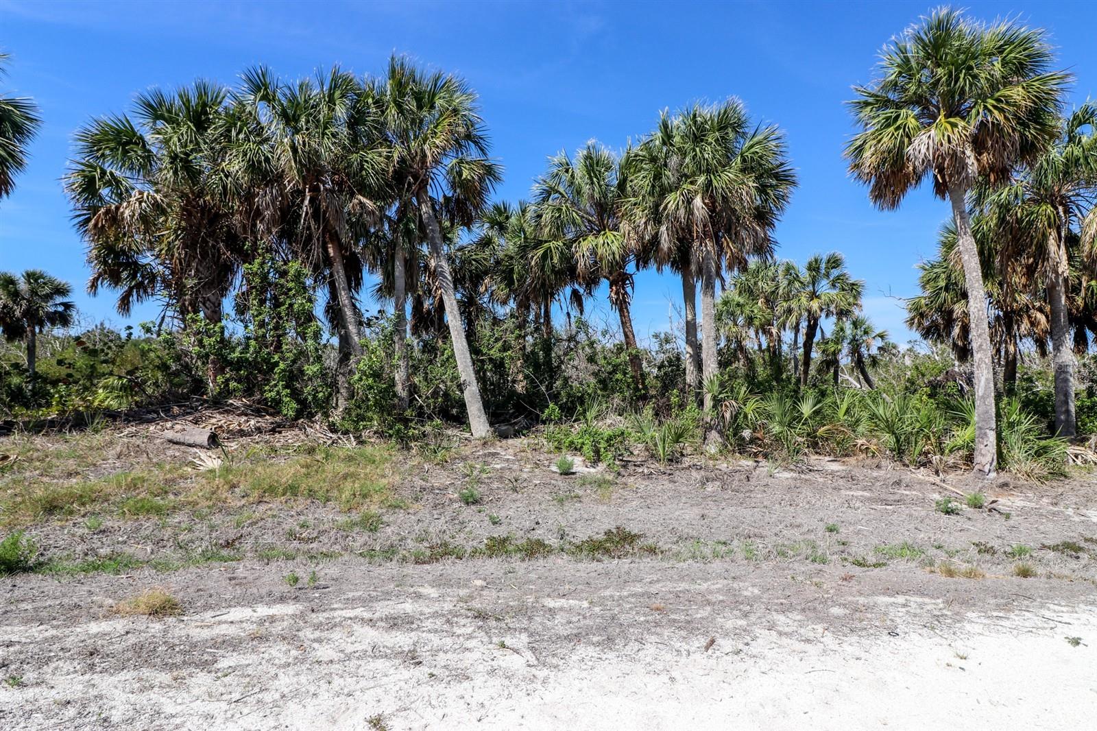 6160 RUM COVE DR, PLACIDA, FL — photo 5