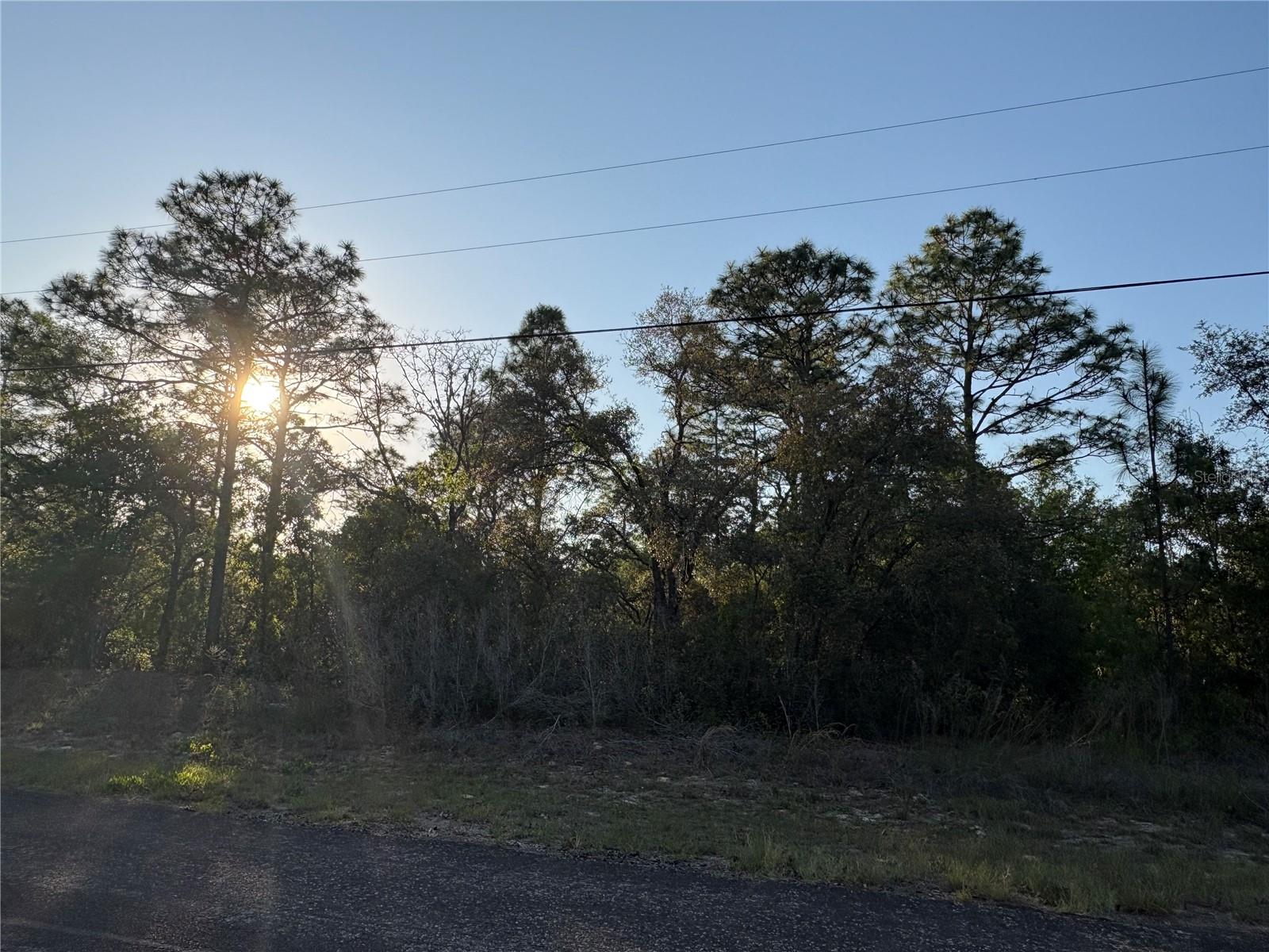 9172 N MARCUS WAY, CITRUS SPRINGS, FL