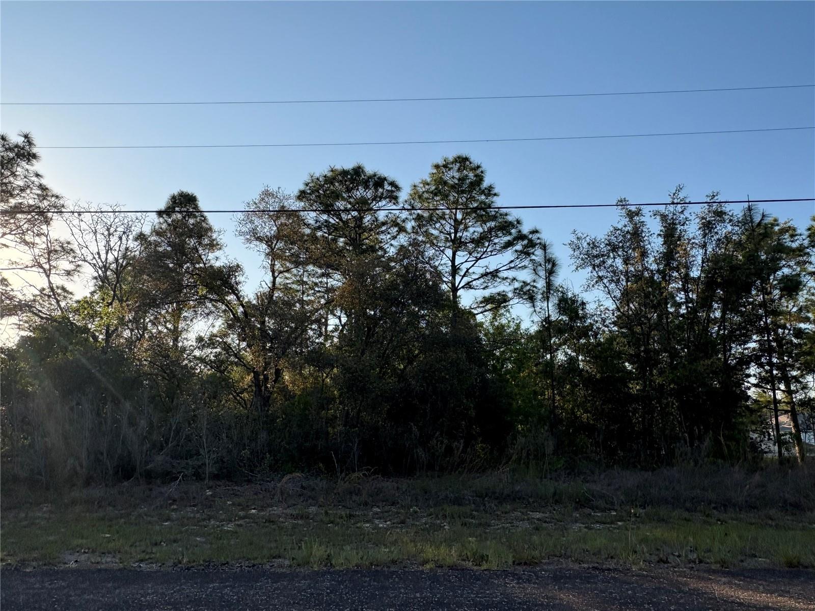 9172 N MARCUS WAY, CITRUS SPRINGS, FL — photo 2