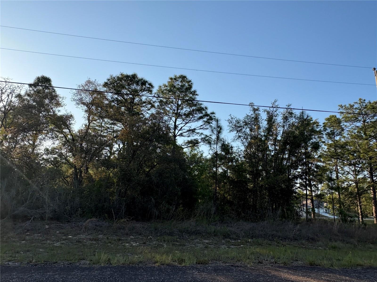 9172 N MARCUS WAY, CITRUS SPRINGS, FL — photo 3