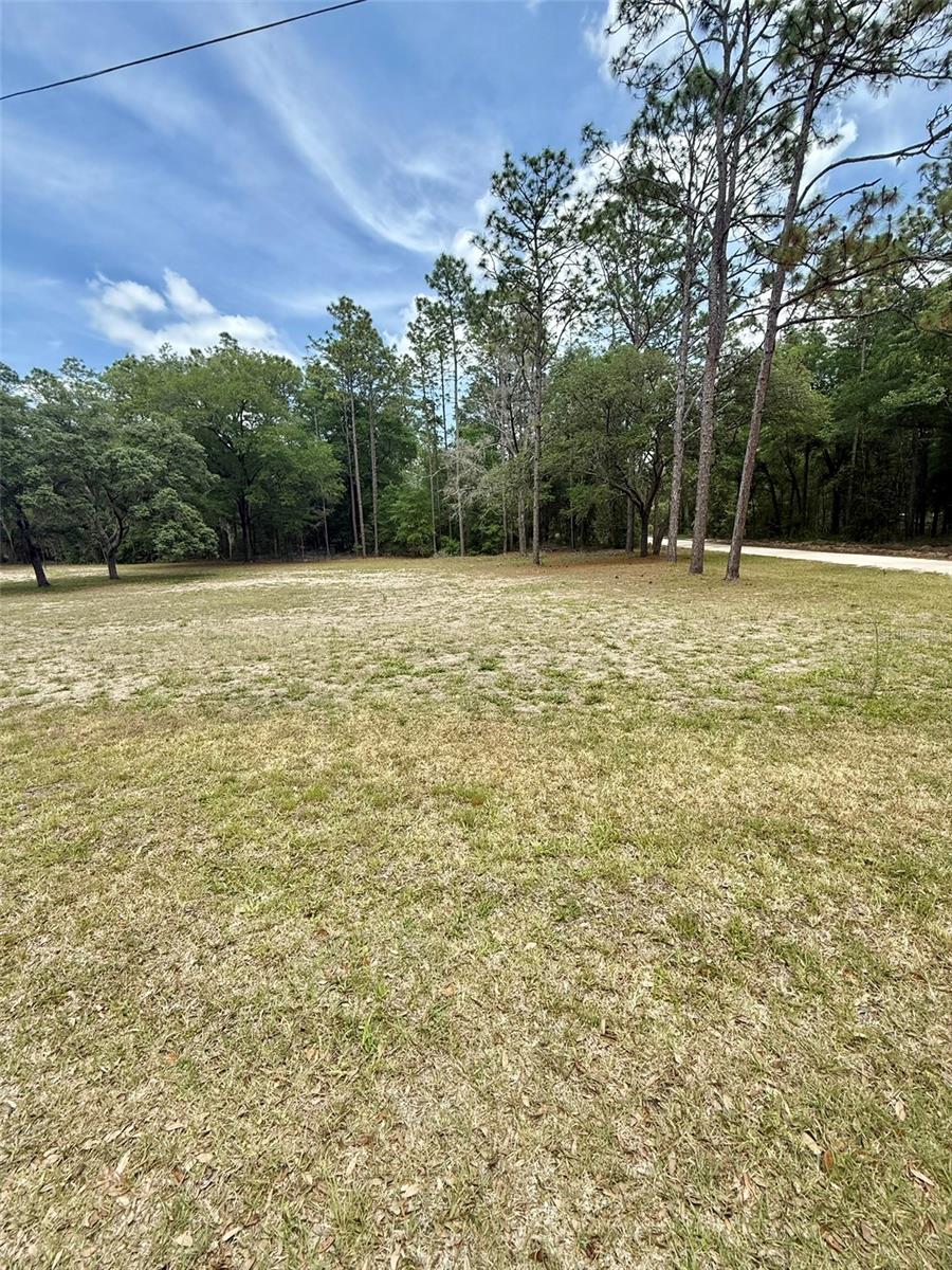 TBD SW 158TH AVE LOT 16, OCALA, FL — photo 4