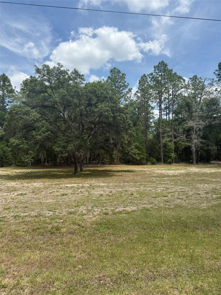 TBD SW 158TH AVE LOT 17, OCALA, FL — photo 2