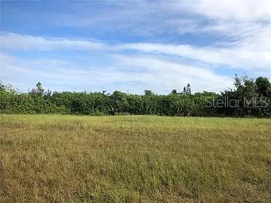 339 NE 19TH TER, CAPE CORAL, FL
