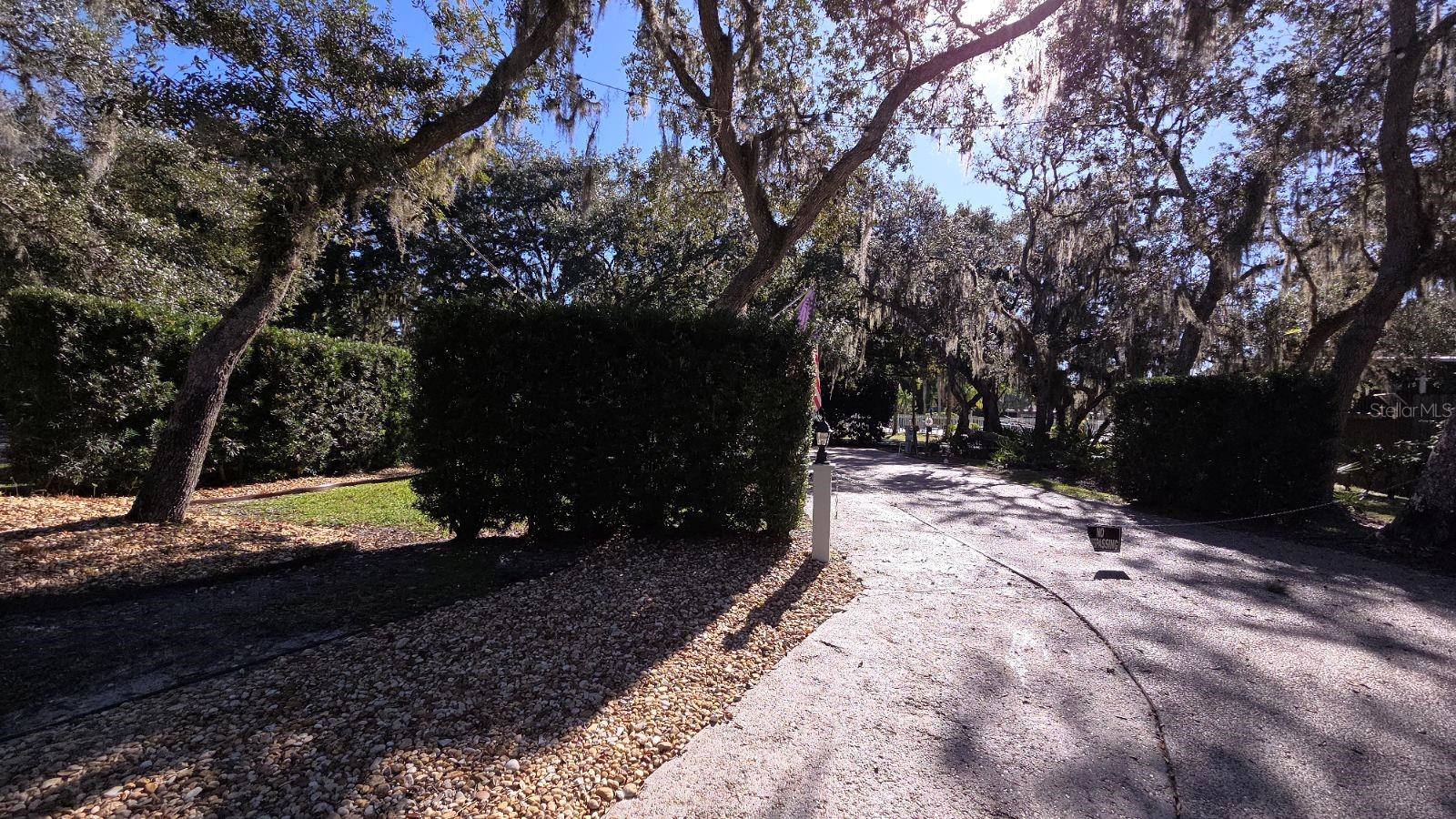 376 BEAR TRL, RIVER RANCH, FL — photo 9