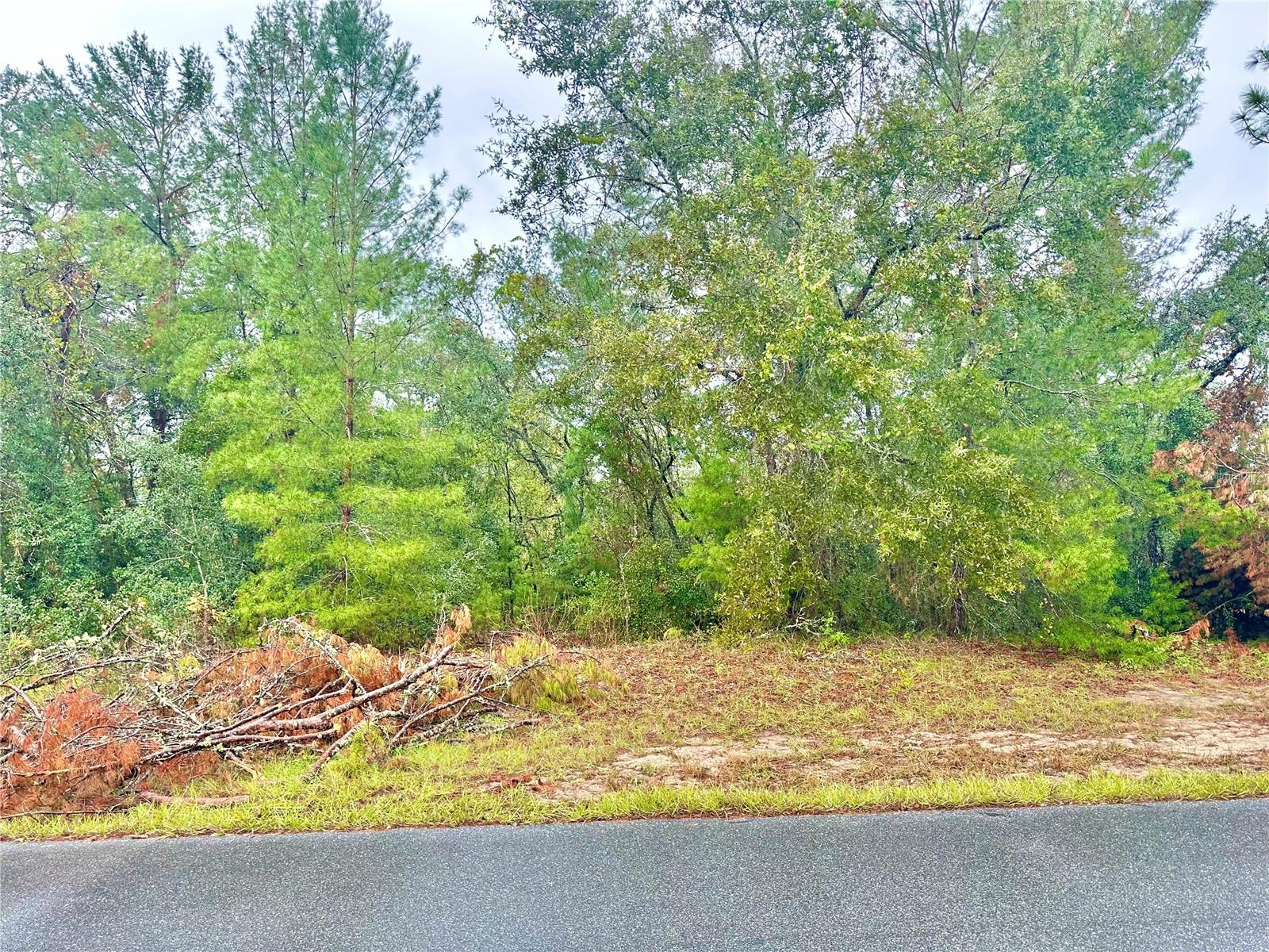 TBD SW 46TH TER #Lot 41, OCALA, FL