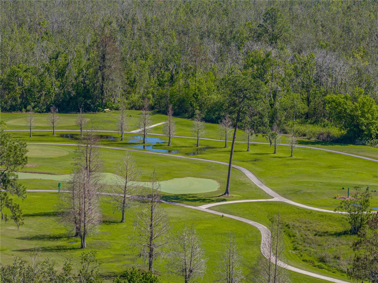 33 EDINBURGH DR, HAINES CITY, FL — photo 30