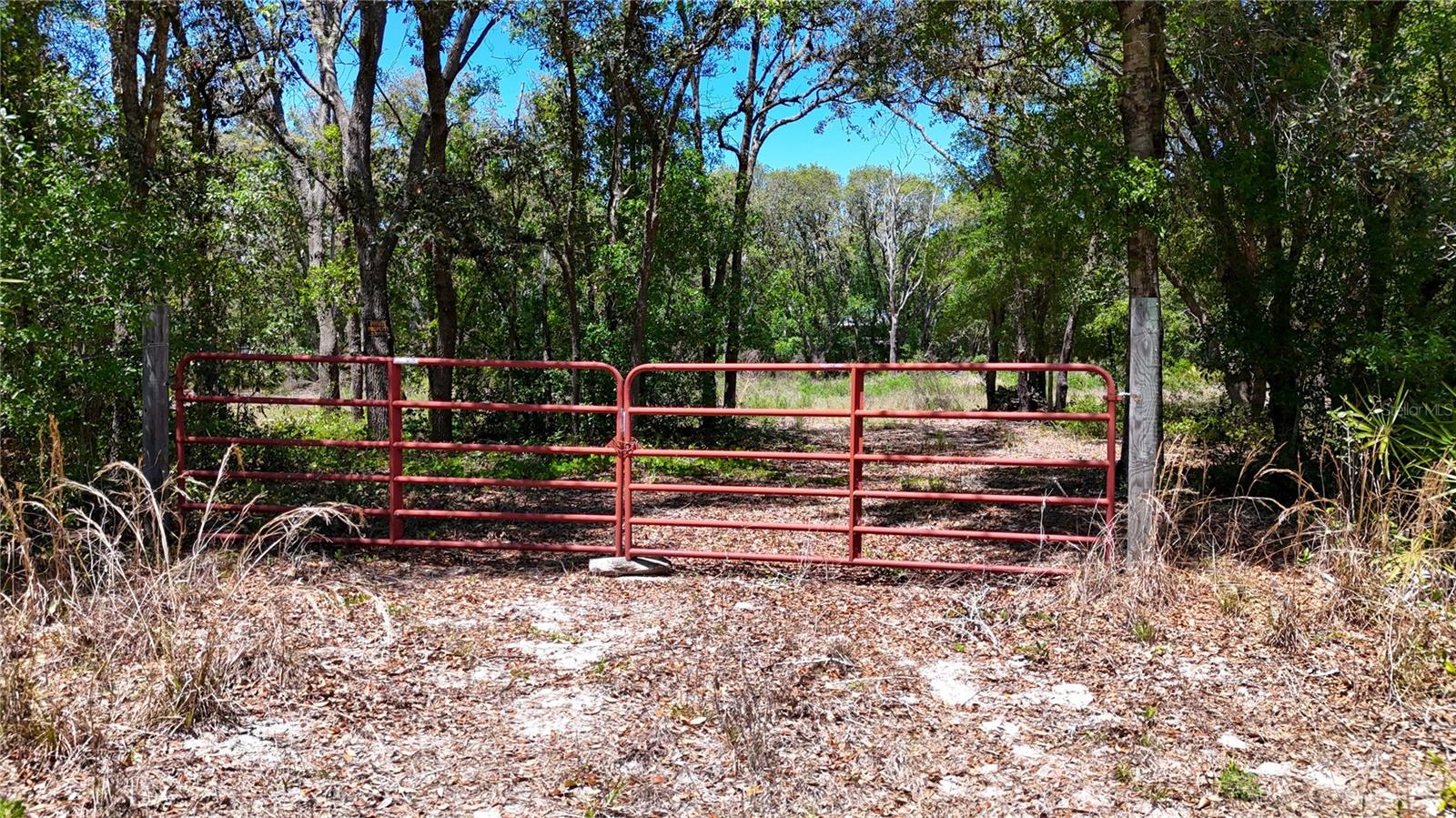 34281 UMBRELLA ROCK DR, WEBSTER, FL