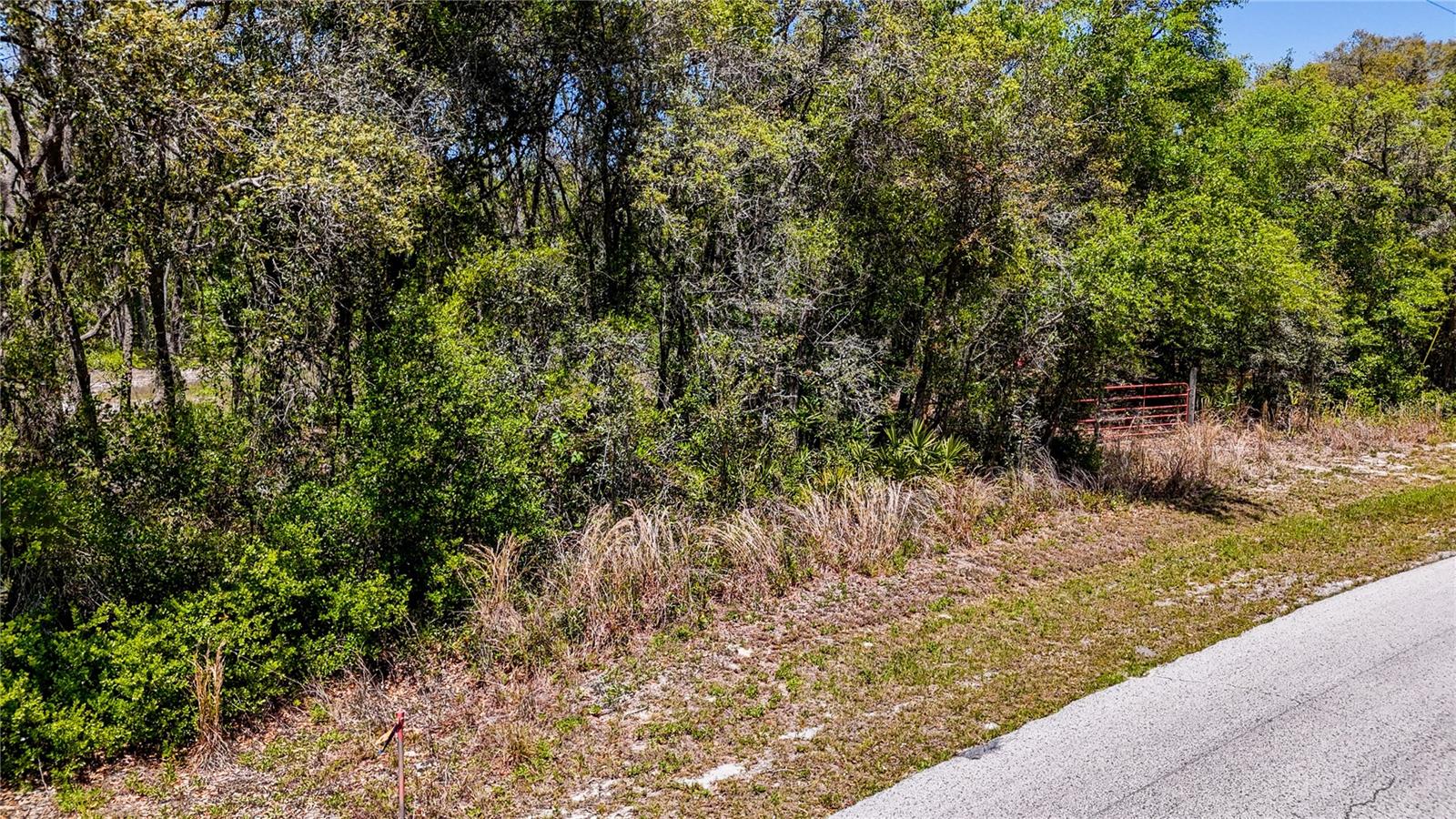 34281 UMBRELLA ROCK DR, WEBSTER, FL — photo 2