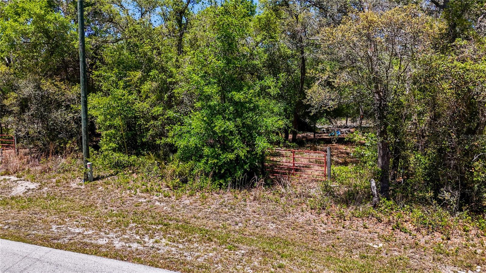 34281 UMBRELLA ROCK DR, WEBSTER, FL — photo 4