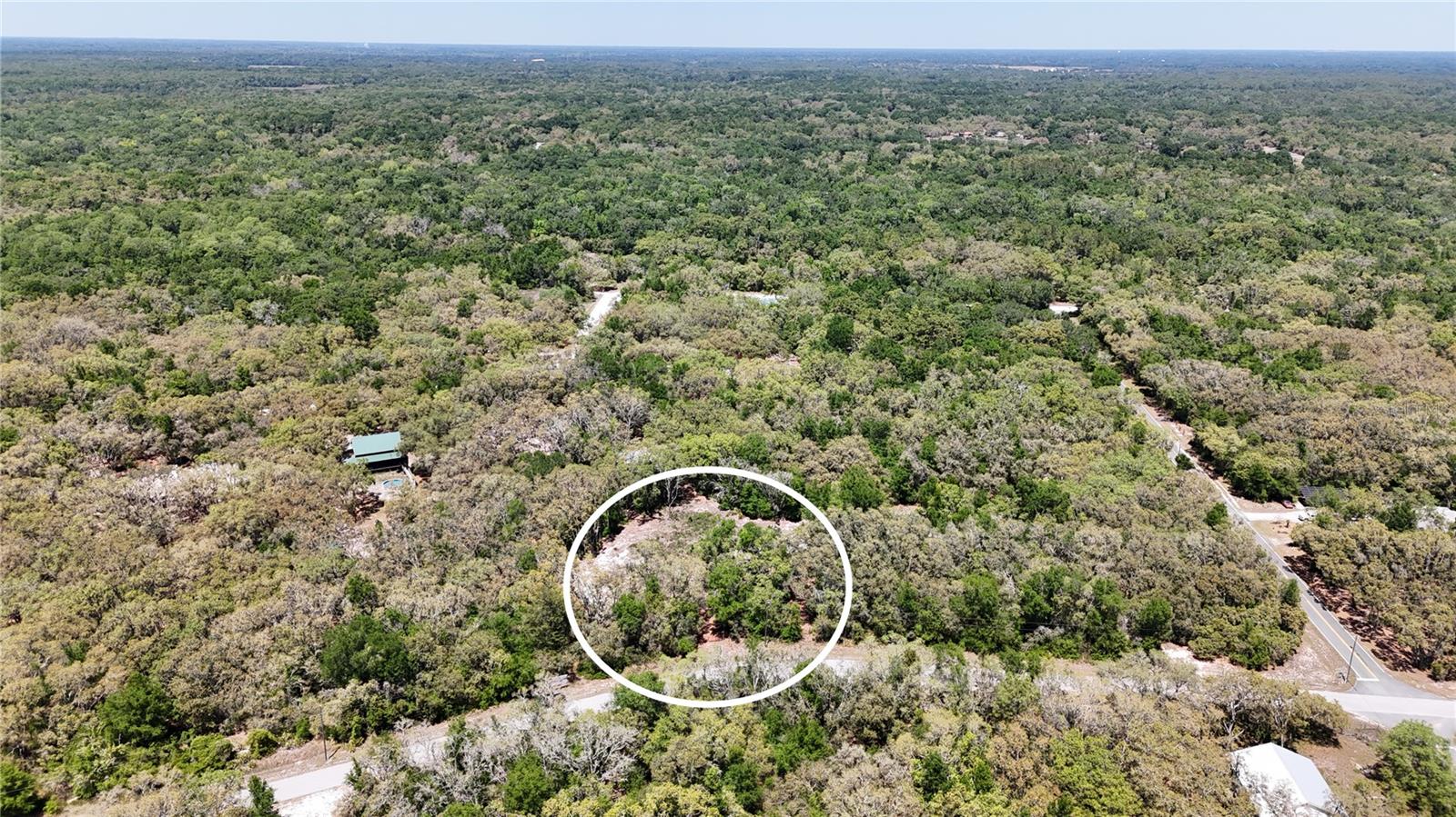 34281 UMBRELLA ROCK DR, WEBSTER, FL — photo 5