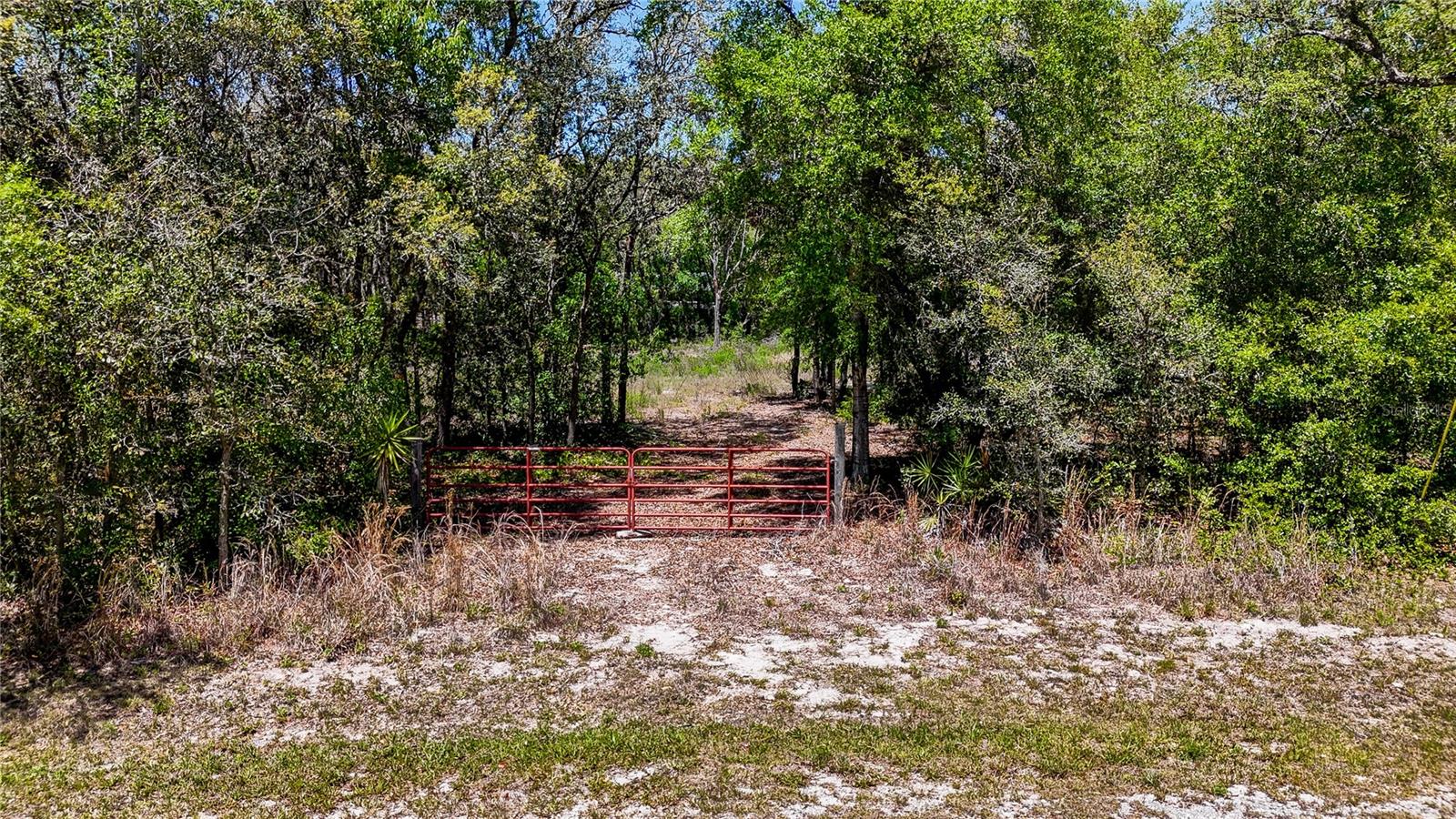 34281 UMBRELLA ROCK DR, WEBSTER, FL — photo 11