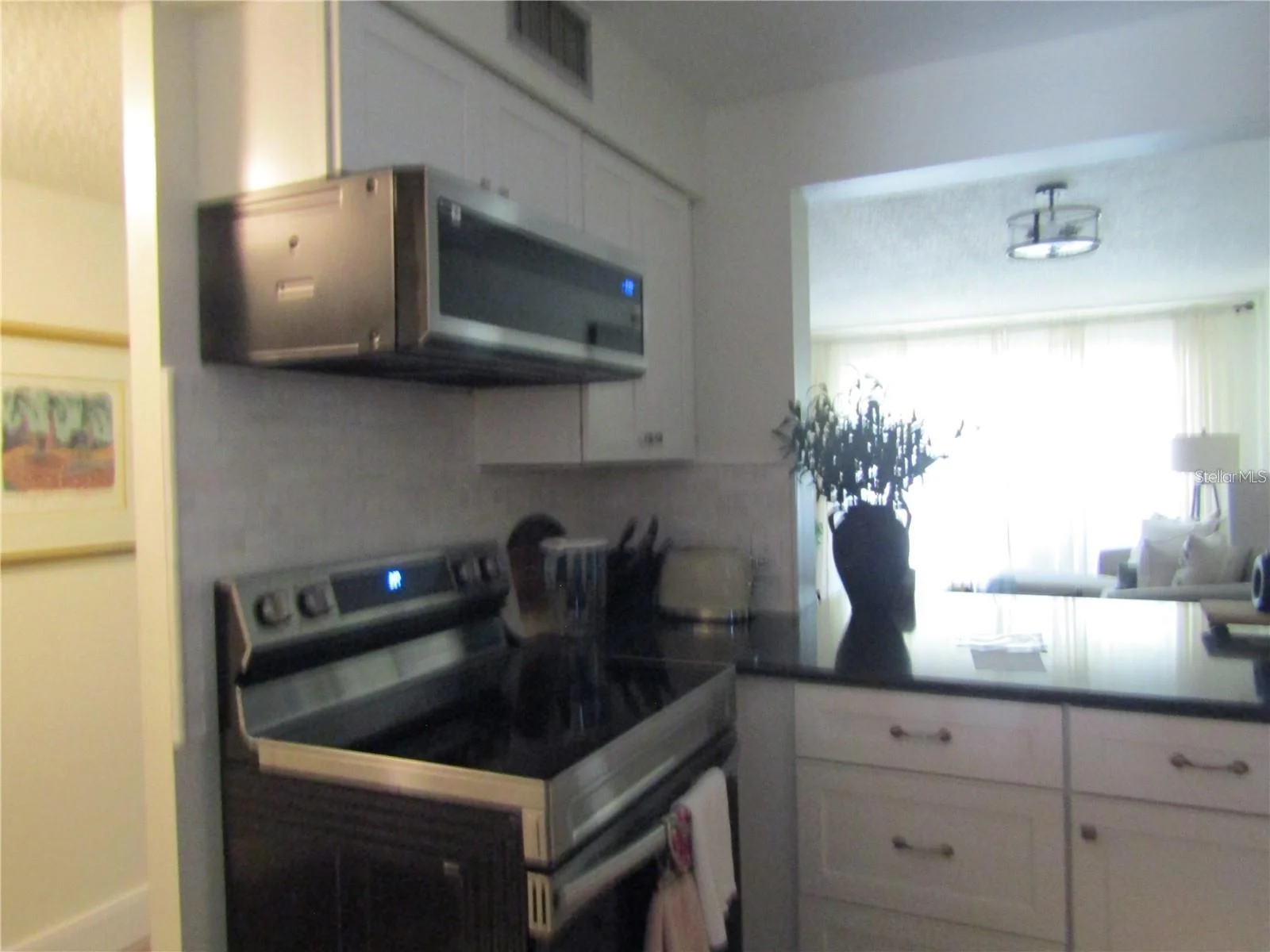 4516 LONGWATER #29, SARASOTA, FL — photo 6