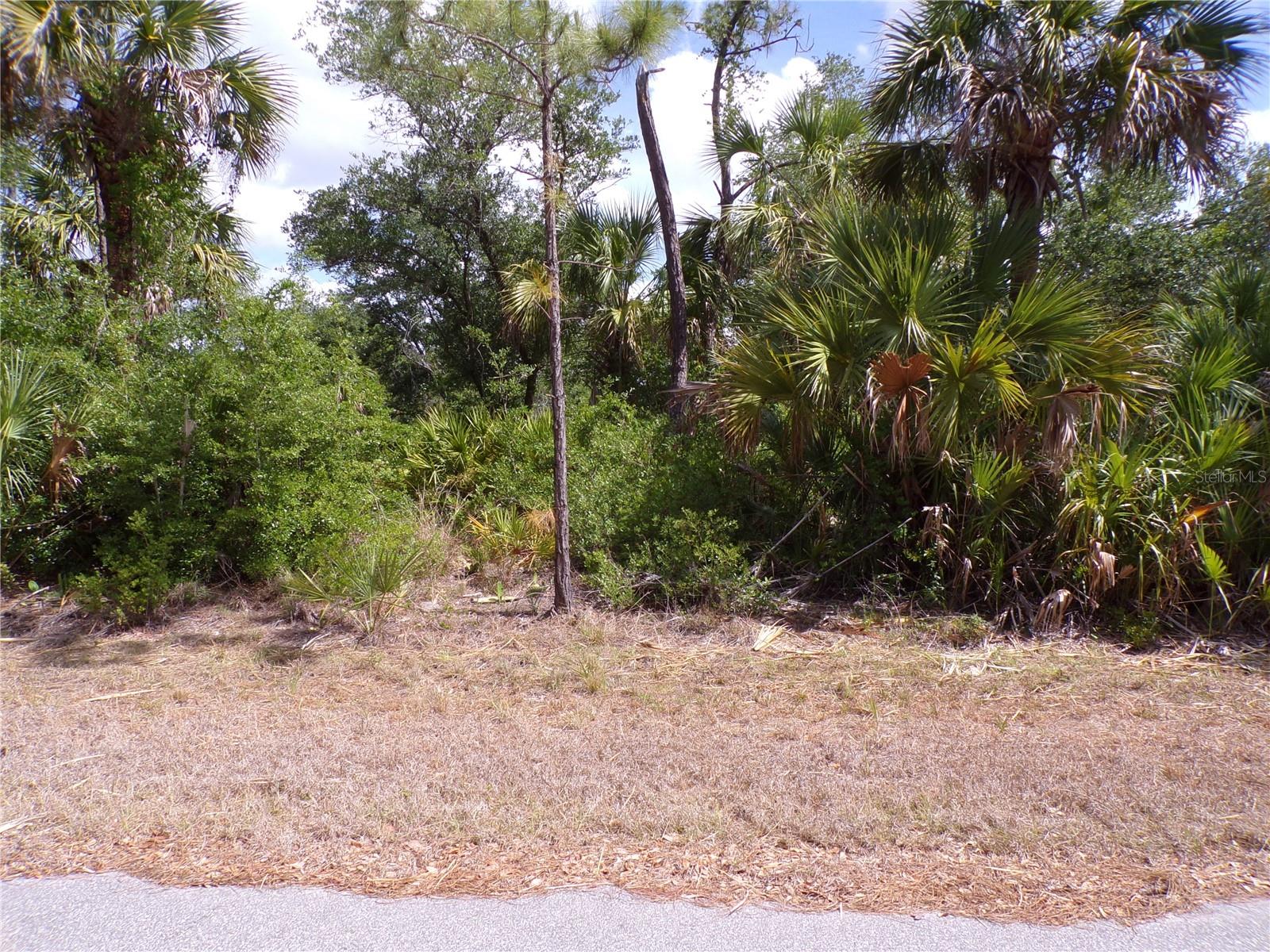 14448 MCMILLIN AVE, PORT CHARLOTTE, FL — photo 5
