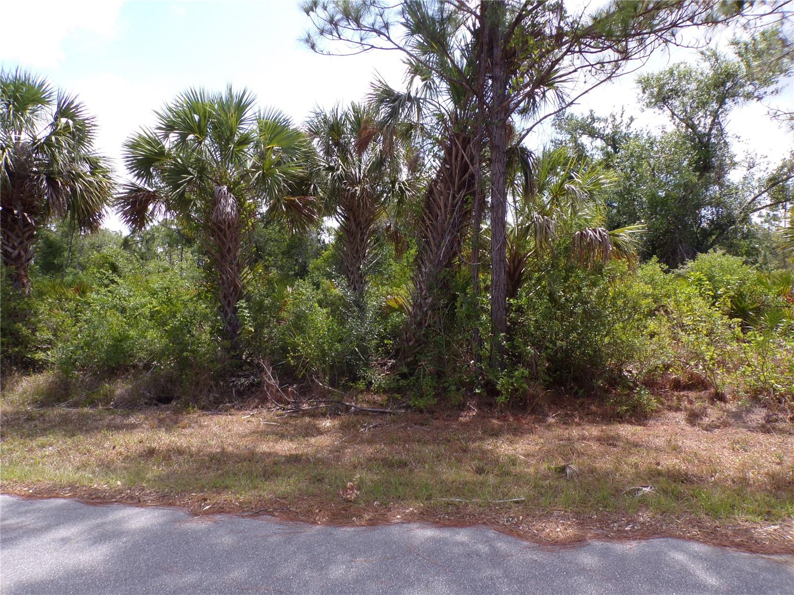 2300 REMAGEN ST, PORT CHARLOTTE, FL — photo 5