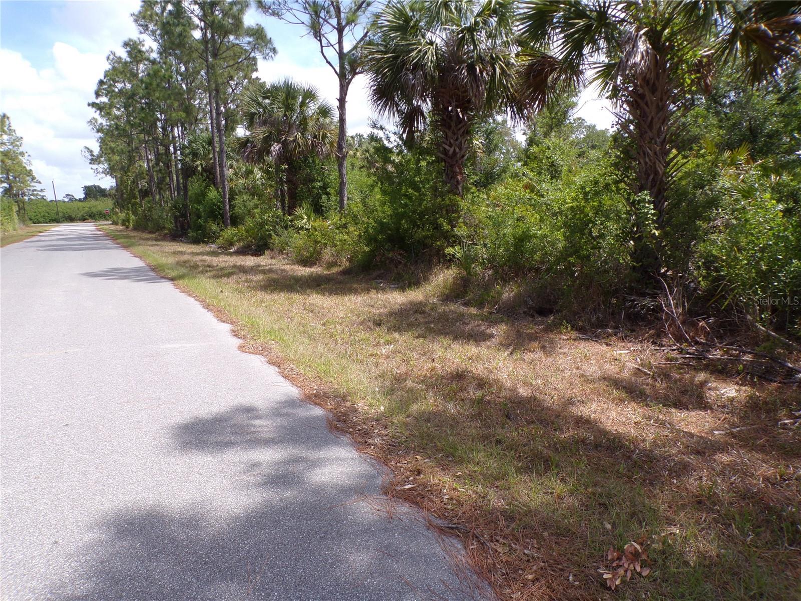 2300 REMAGEN ST, PORT CHARLOTTE, FL — photo 6