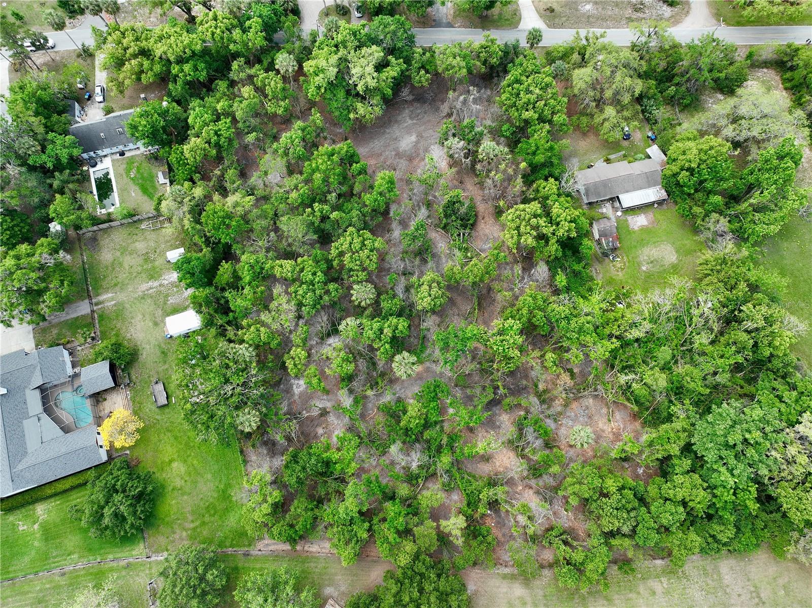 7343 LAKE OLA DR, MOUNT DORA, FL