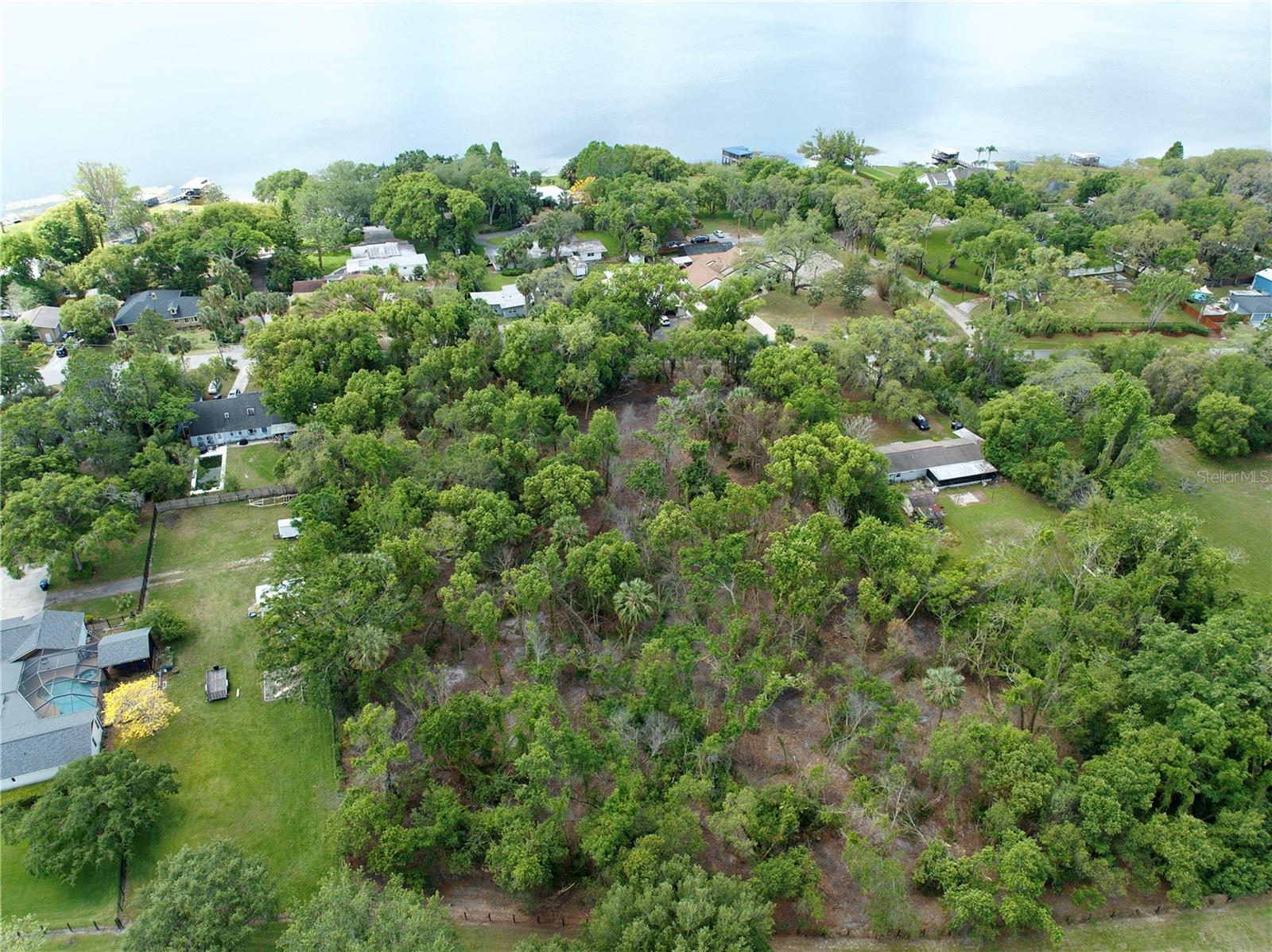 7343 LAKE OLA DR, MOUNT DORA, FL — photo 2