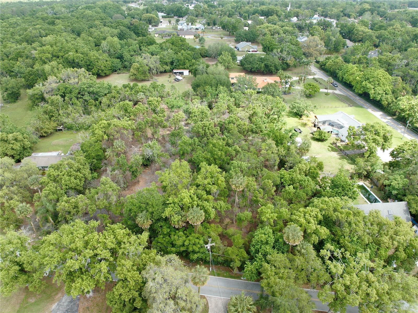 7343 LAKE OLA DR, MOUNT DORA, FL — photo 4